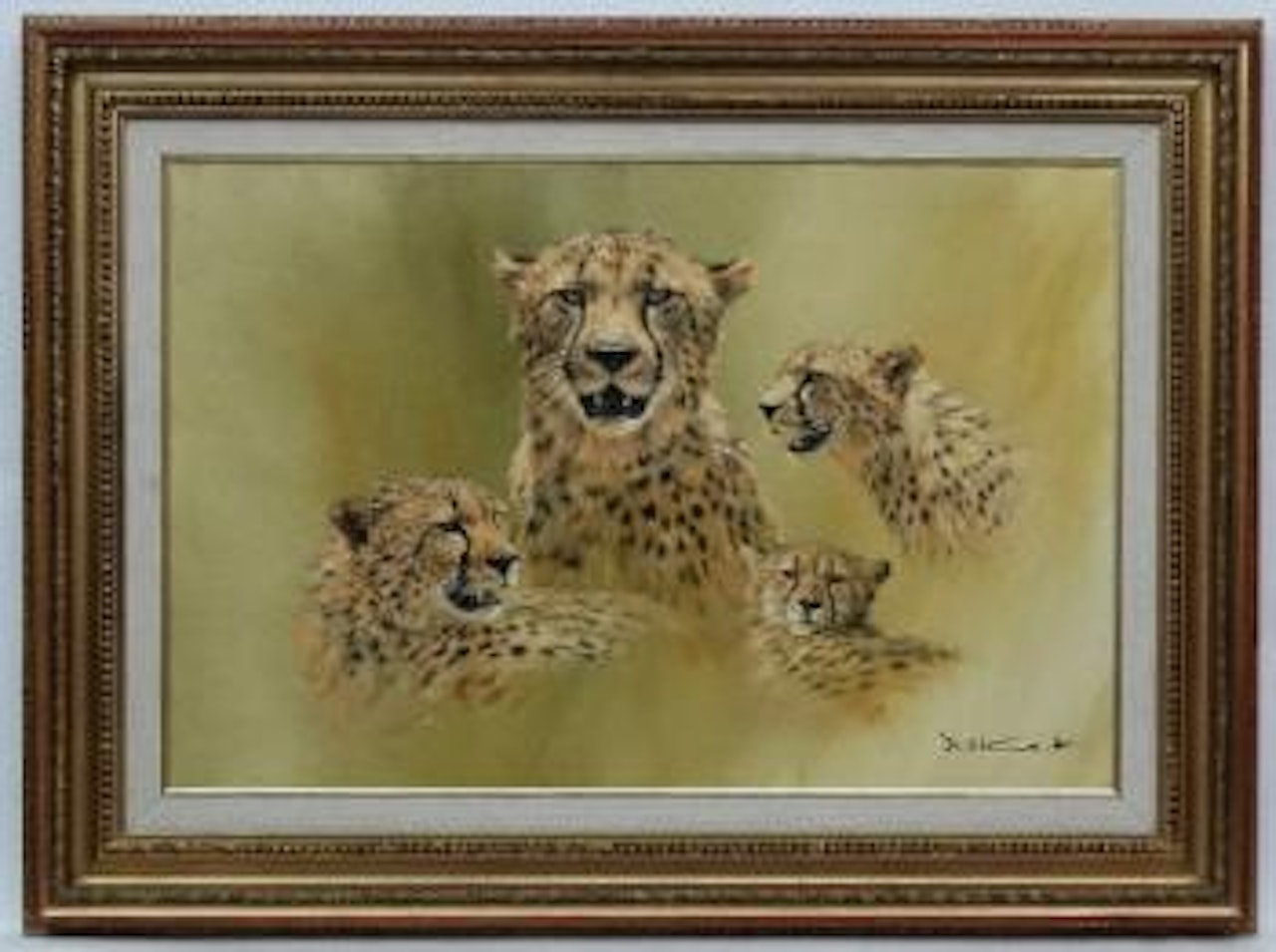 Cheetah Sketches by Donald Grant