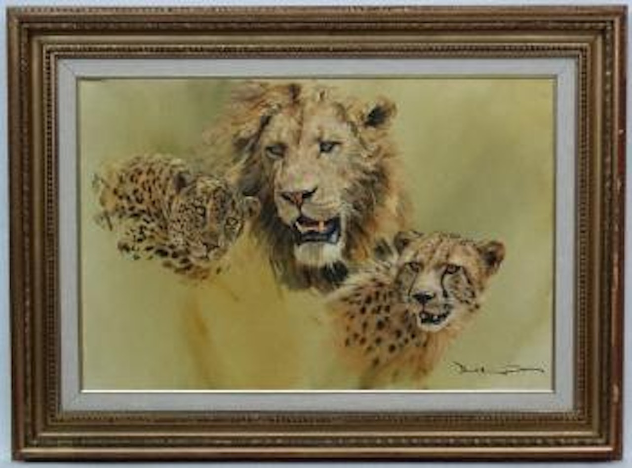 African cats by Donald Grant