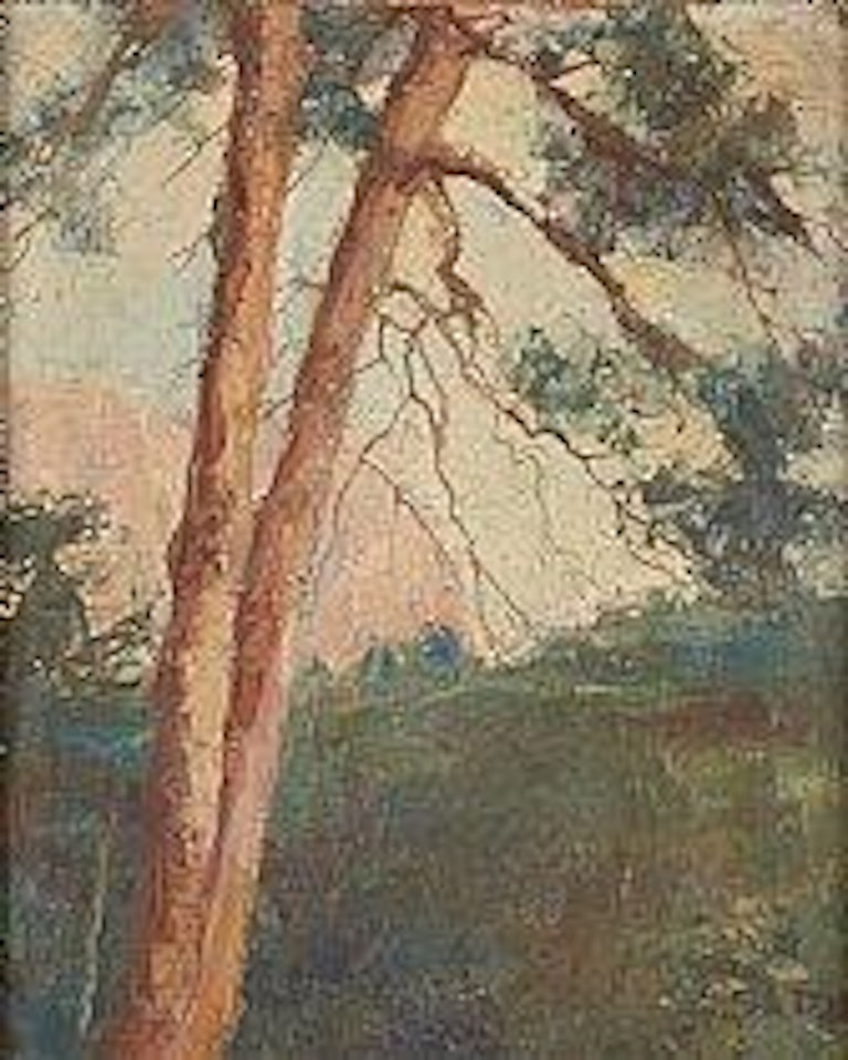 Les arbres by Sha Qi
