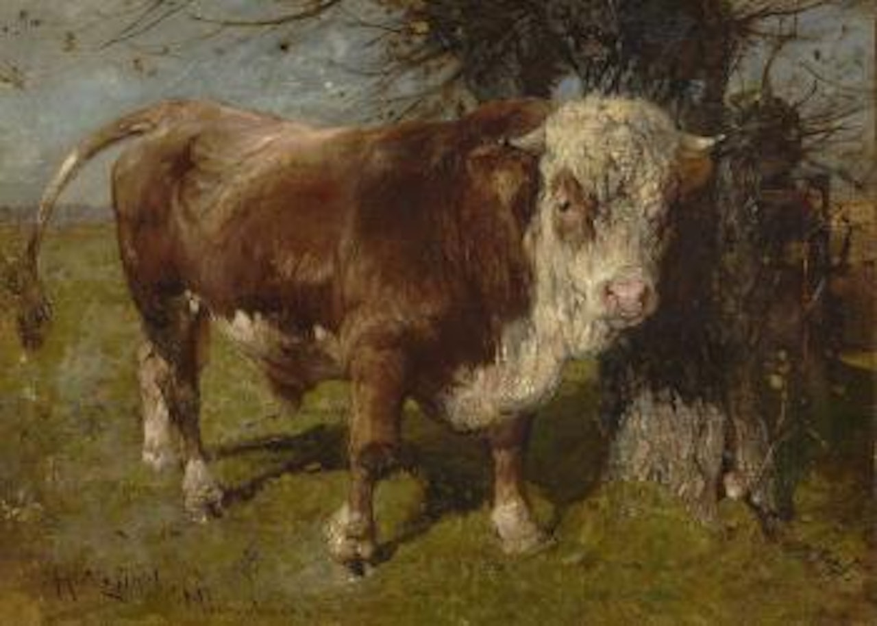 Stier vor der Weide by Heinrich von Zugel