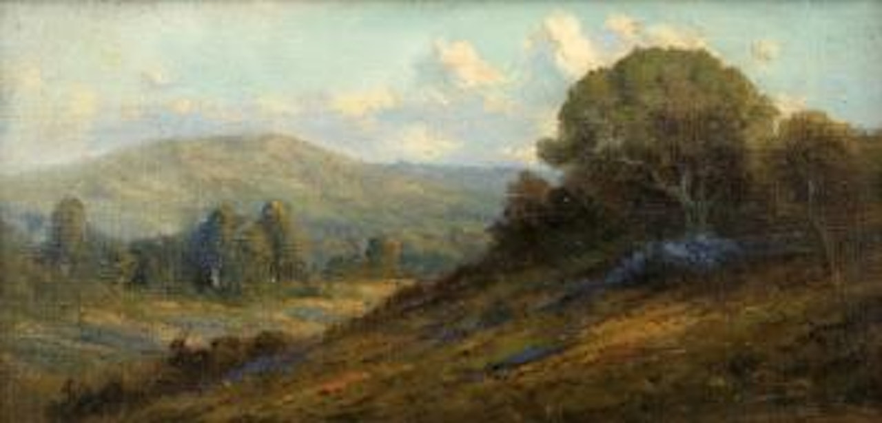 Trees in a rolling hill landscape by Angel Espoy