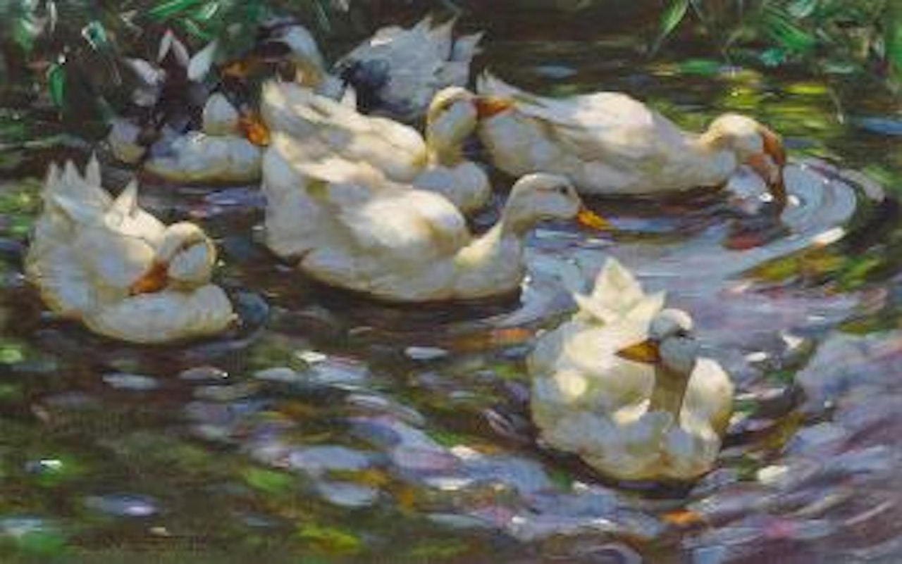 Sieben Enten im Wasser by Alexander Koester