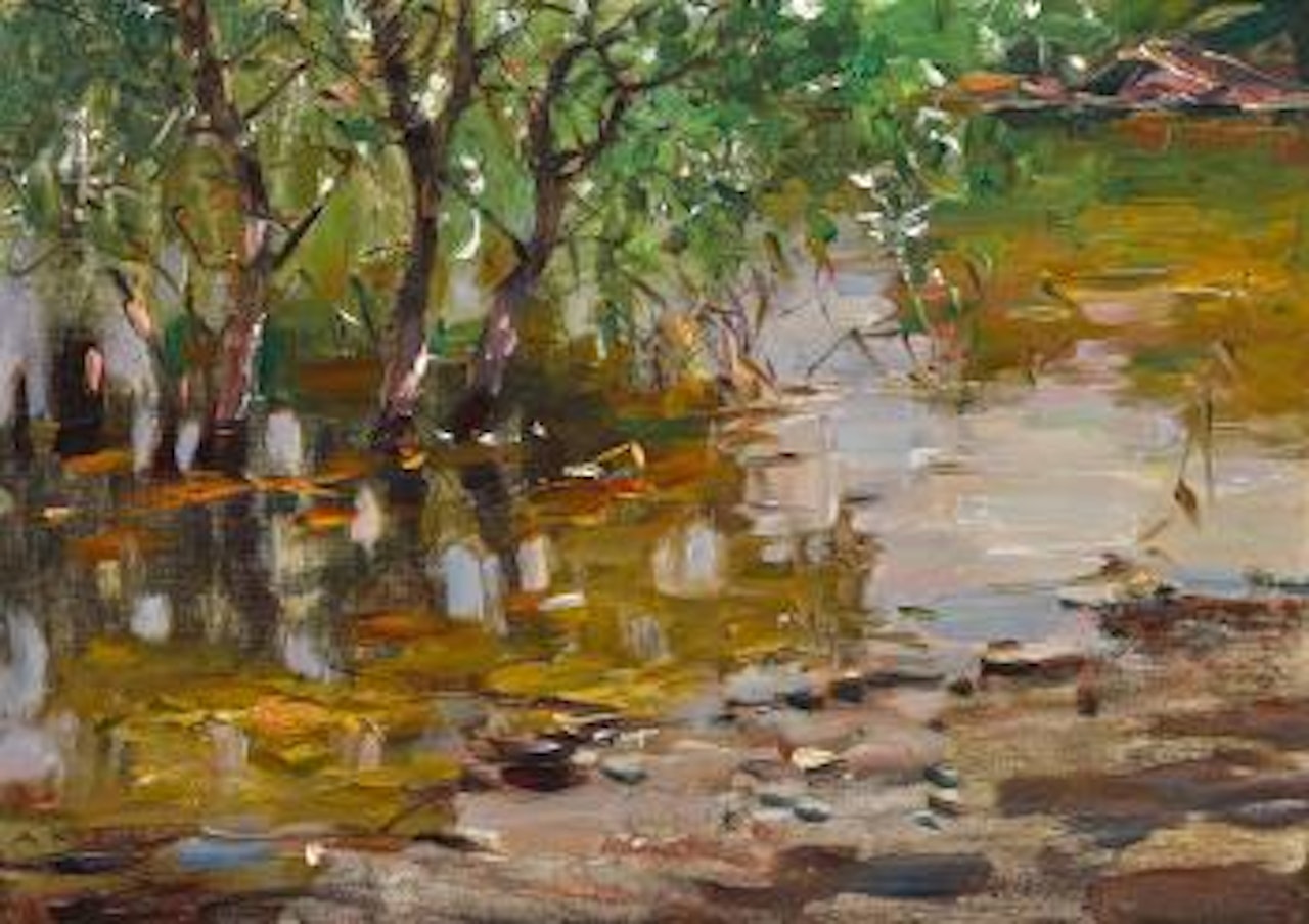 Insel im Hochwasser by Alexander Koester
