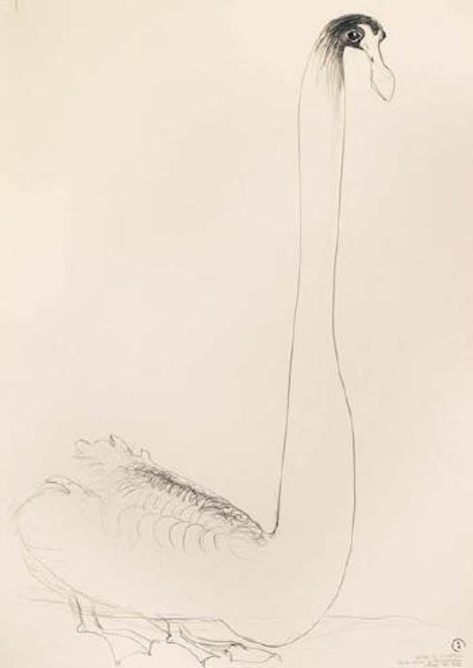 Black Swan by Brett Whiteley