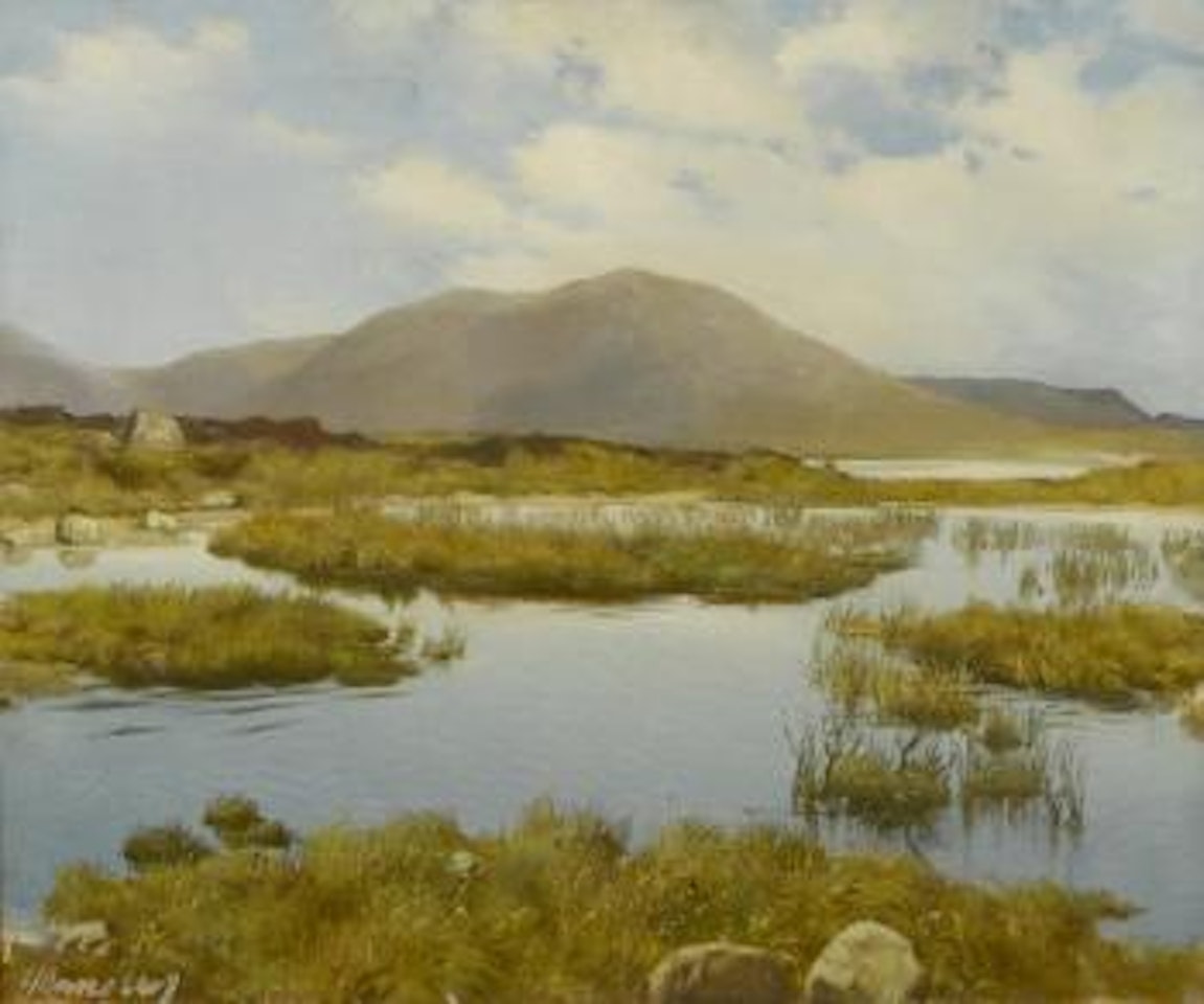 Connemara landscape by Patrick Hennessey