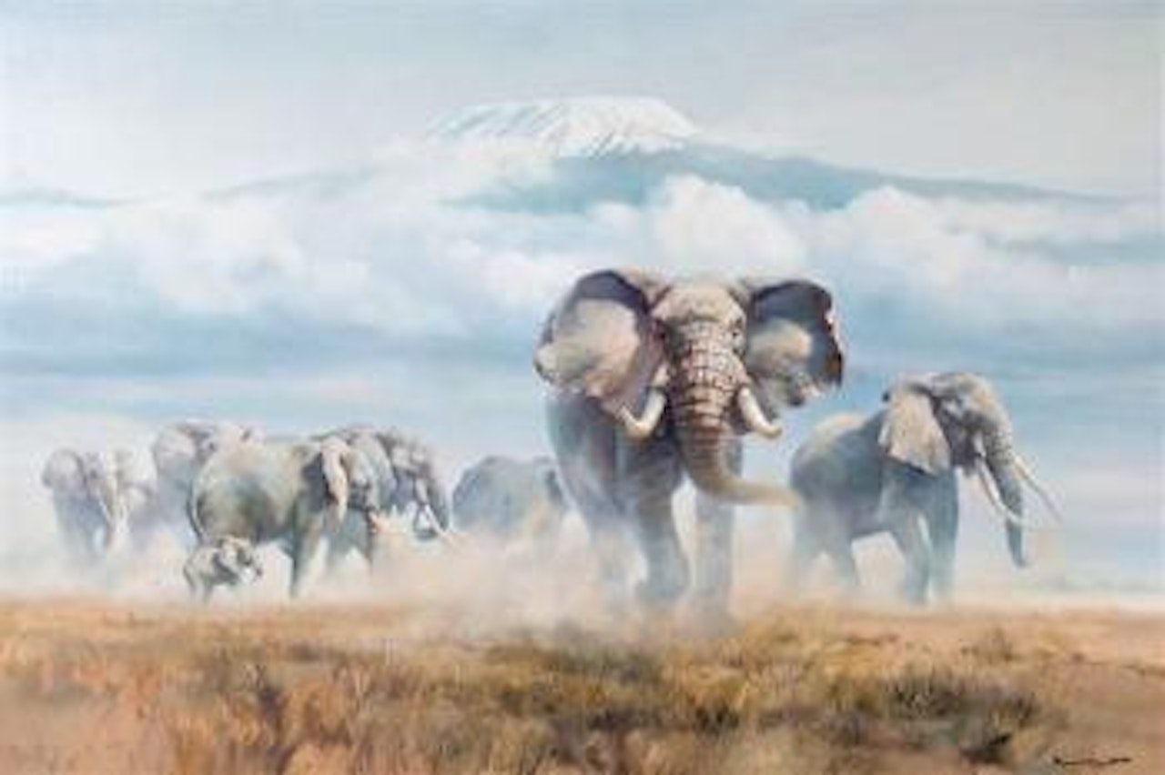 Elephants on the plain below Mount Kilimanjaro by Donald Grant