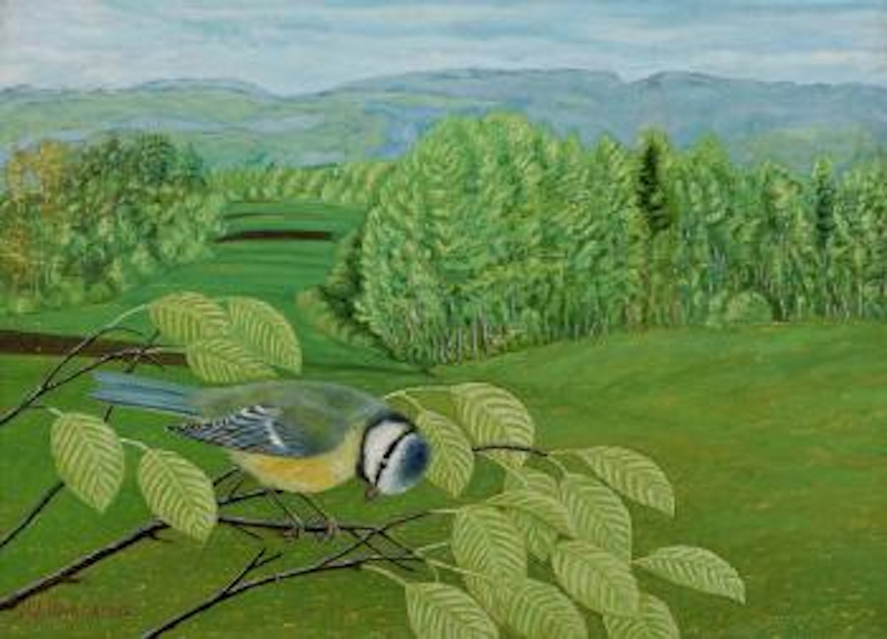 Blaumeise auf Buchenzweig by Adolf Dietrich