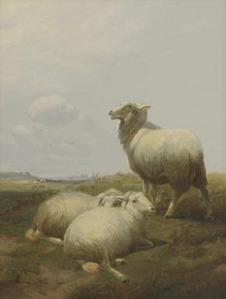 Sheep at Pasture by Thomas Sidney Cooper