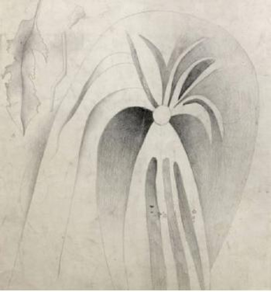 Étude de feuilles et fleurs. Le magnolia by Fernand Leger