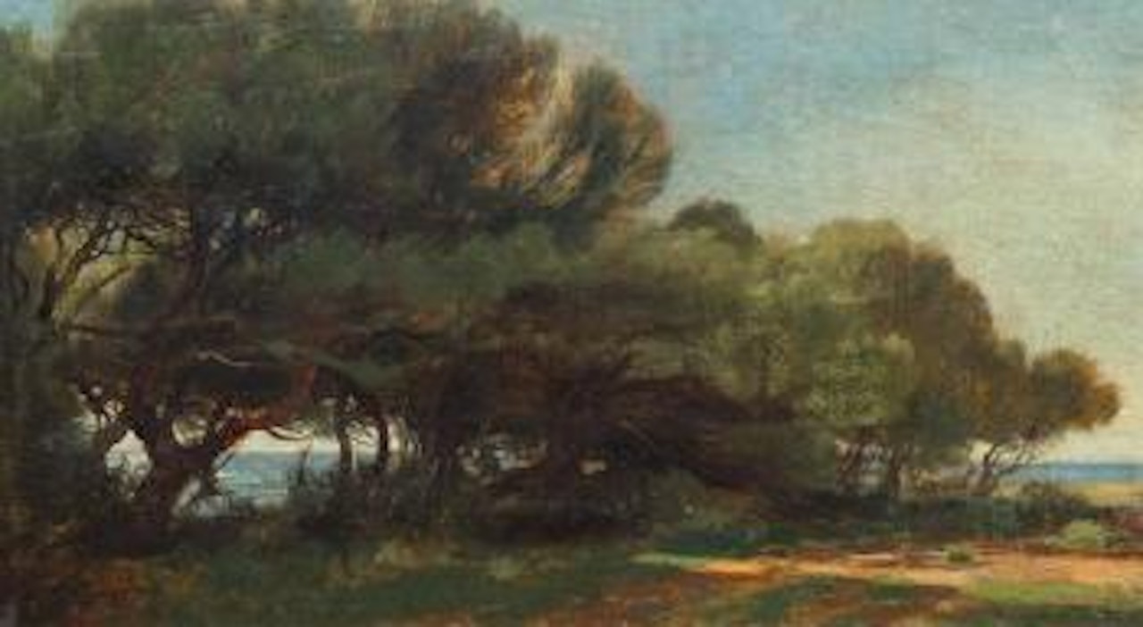 Pins en bord de mer (Pinetrees along the coast) by Alexandre Calame
