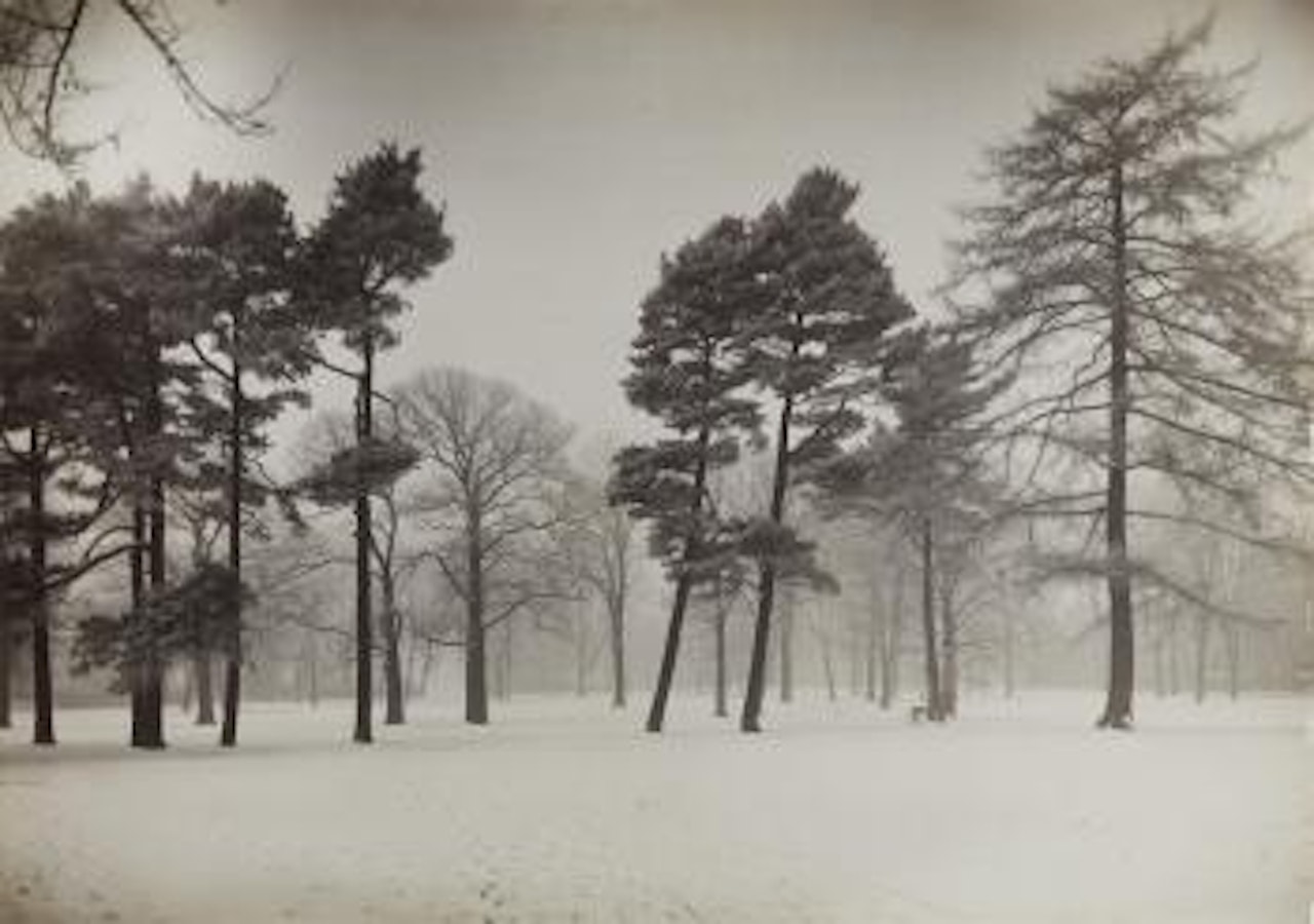 Der Stadtwald zu Köln im November by August Sander