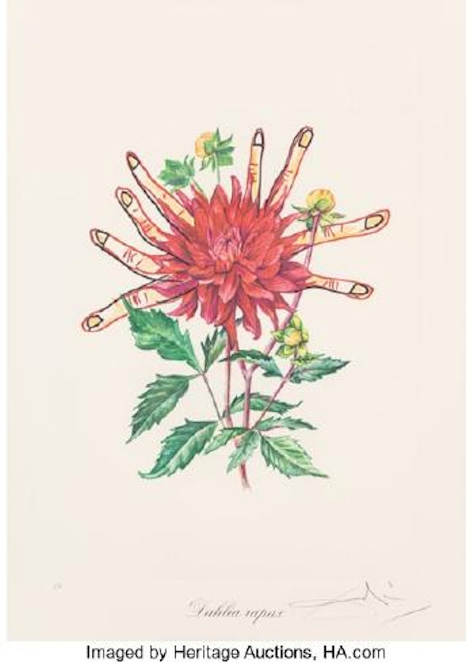 Florals (Surrealist Flowers) by Salvador Dali