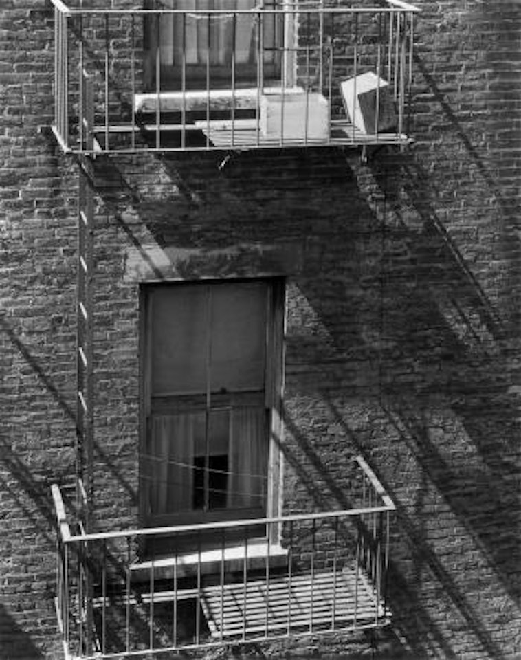 Laughing Boxes, West 86th Street, New York by Edward Steichen