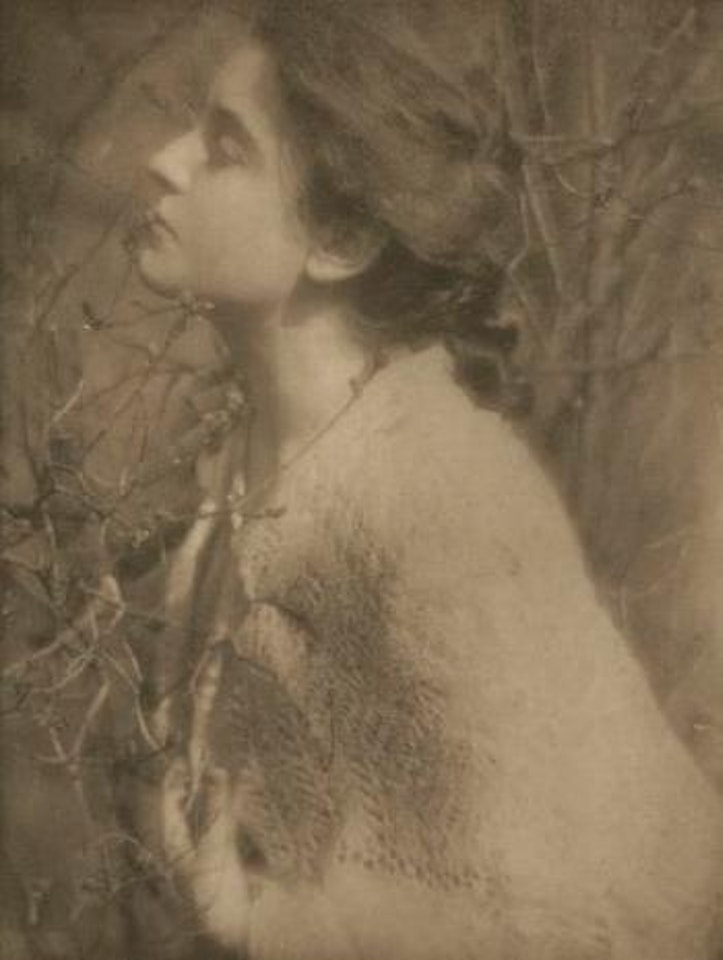 Lilac Buds, Mrs S by Edward Steichen