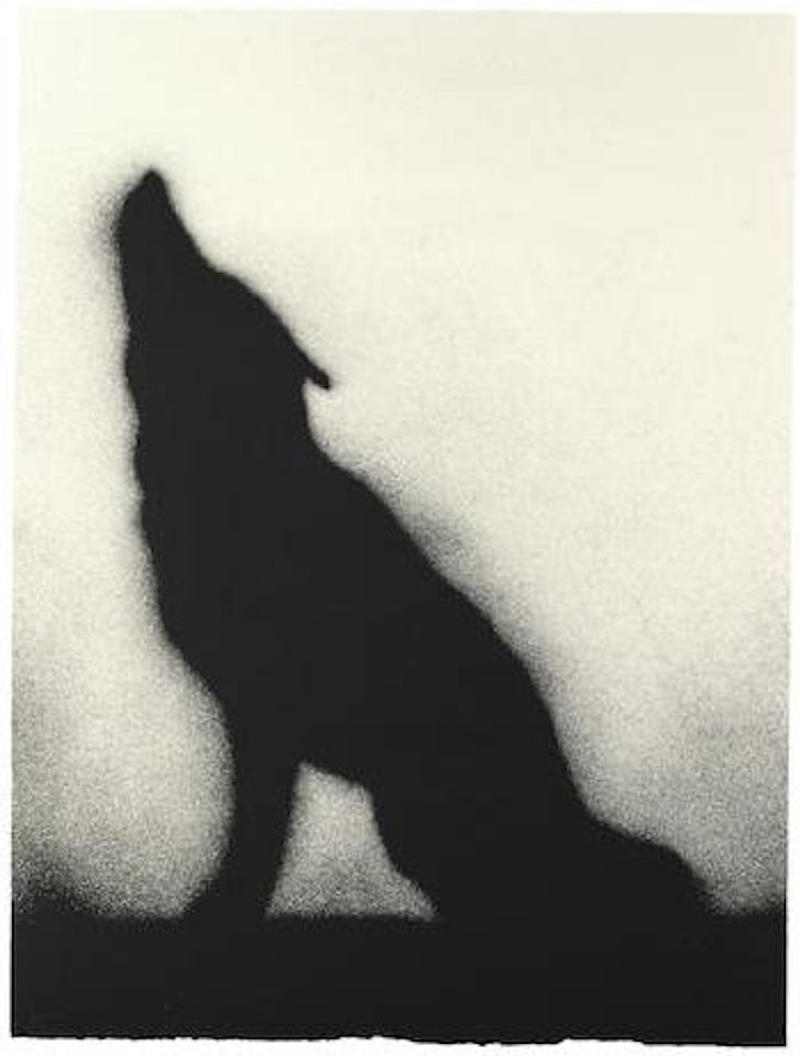 Coyote by Ed Ruscha
