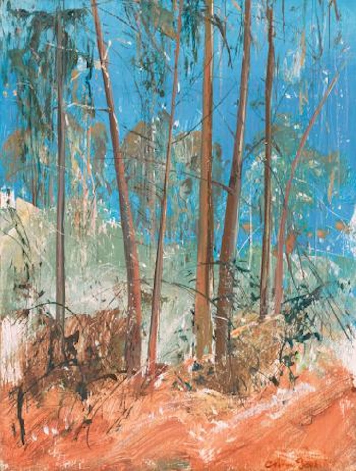 Shoalhaven Hillside by Arthur Merric Bloomfield Boyd