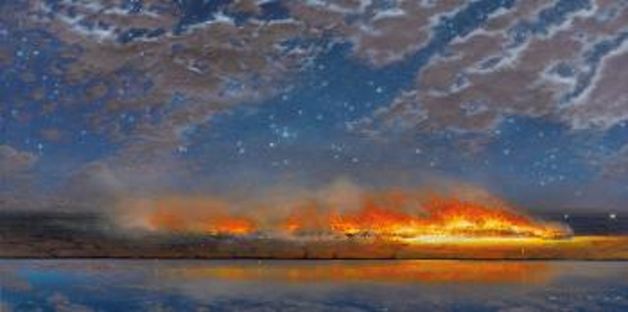 Night Reflection by Tim Storrier