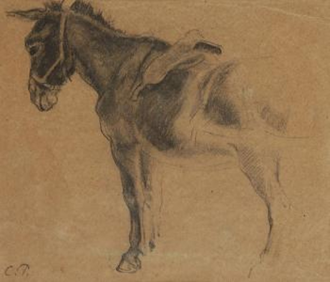 Étude d’âne by Camille Pissarro