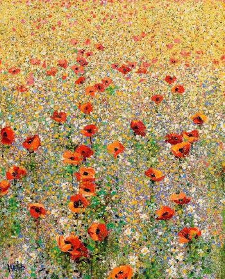 Wild flower meadow by Kenneth Webb