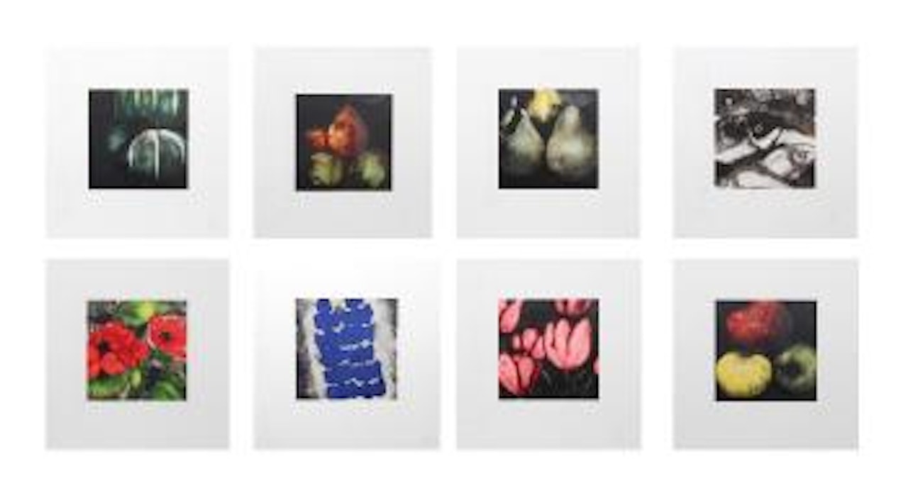 Fruits and flowers portfolio by Donald Sultan