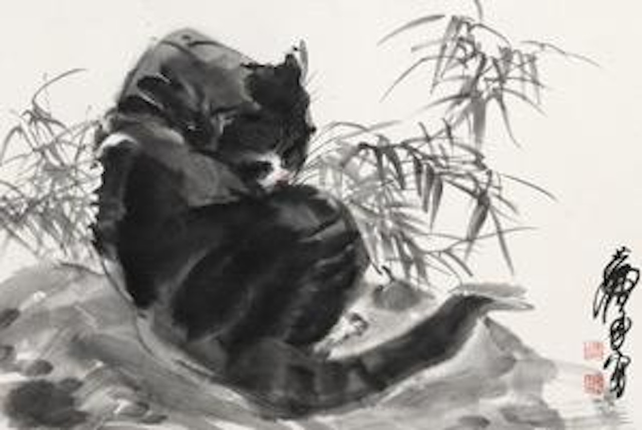 Cat by Huang Zhou