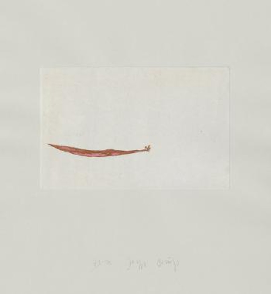 Meerengel die Seegurke by Joseph Beuys