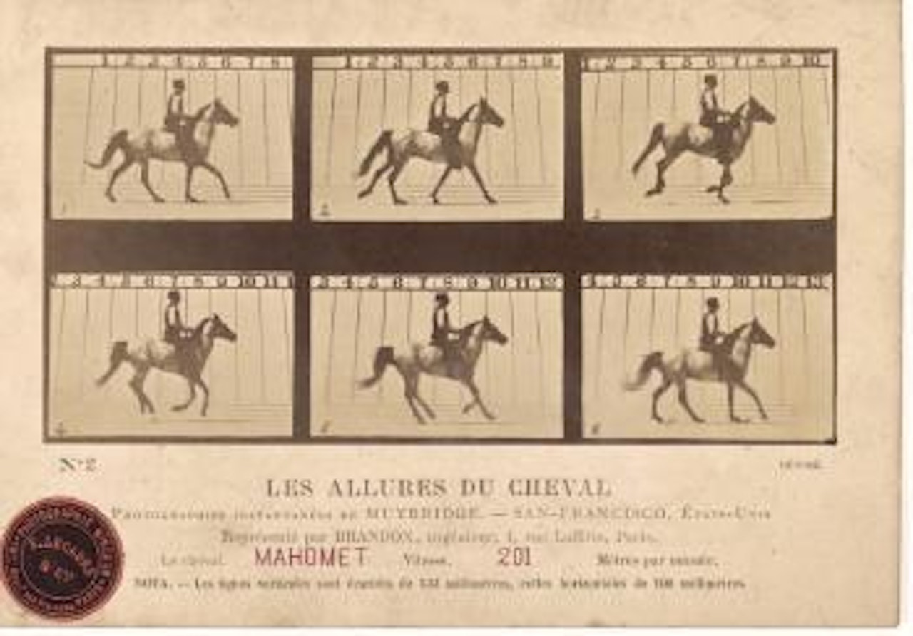 Les allures du Cheval Mahomet (appartenant à Leland Stanford) by Eadweard Muybridge