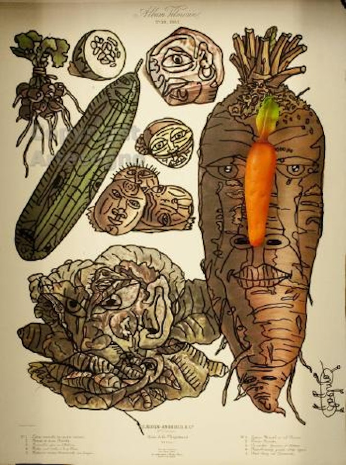 La planche naturaliste by Robert Combas