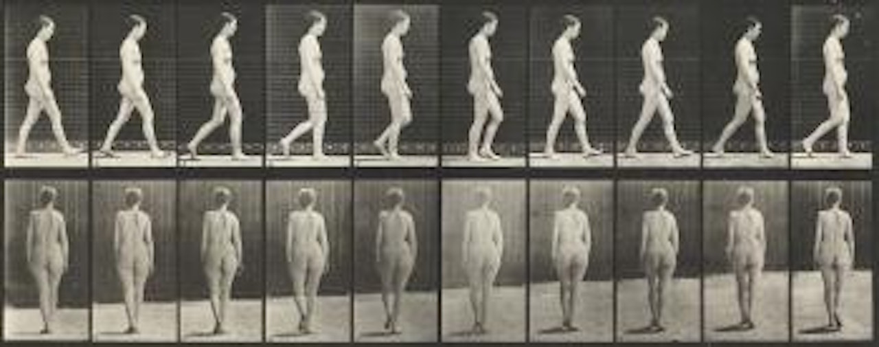 Woman walking from: Animal Locomotion by Eadweard Muybridge