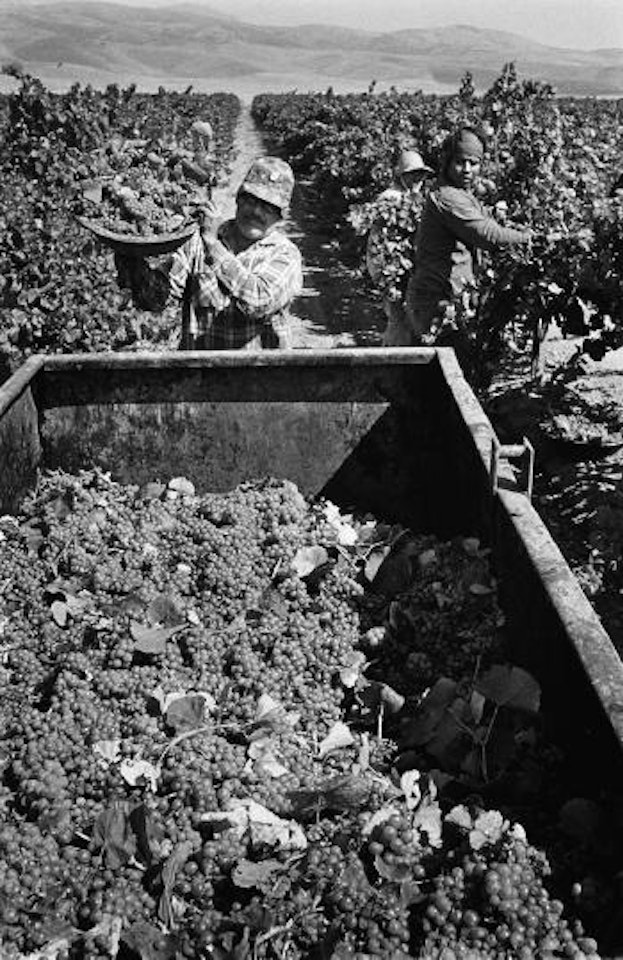 Migrant workers, Santa Clara Valley by Ansel Adams