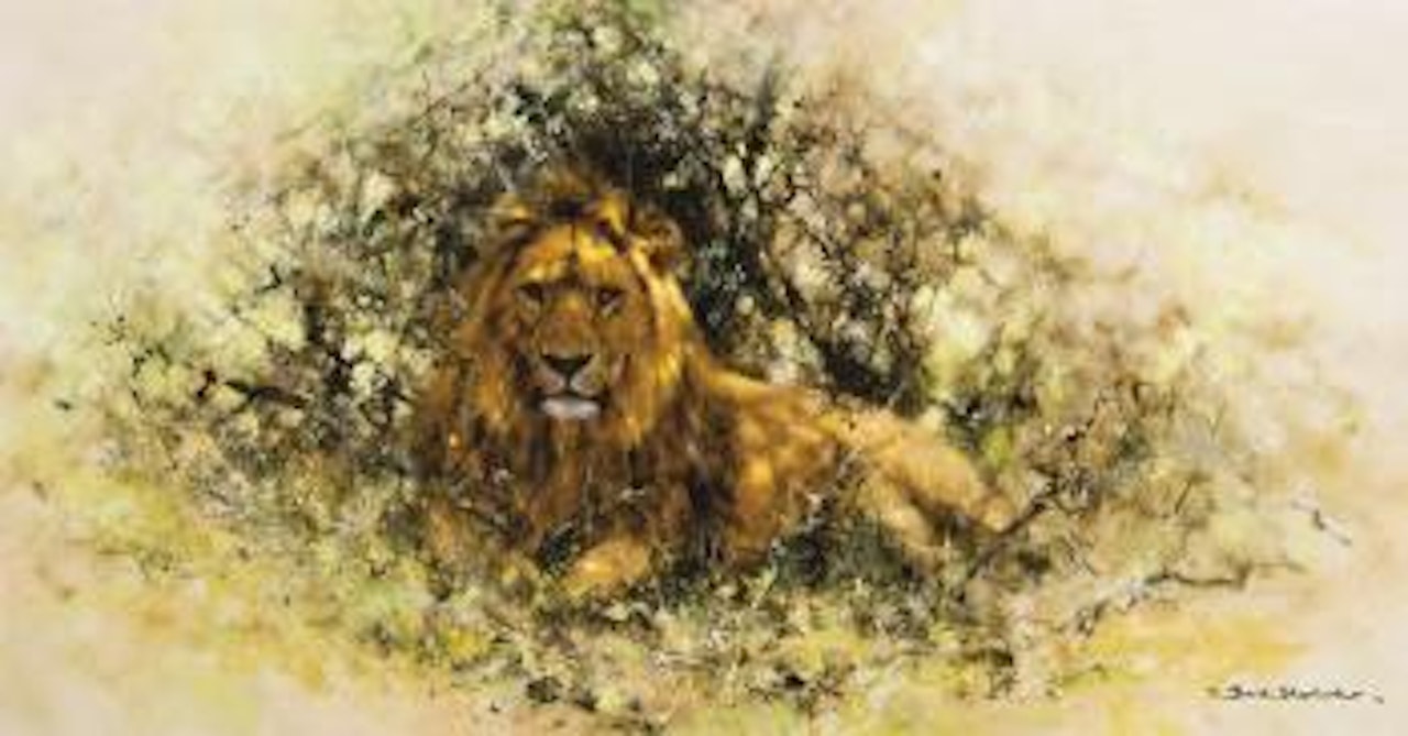 Lion in Thicket by David Shepherd