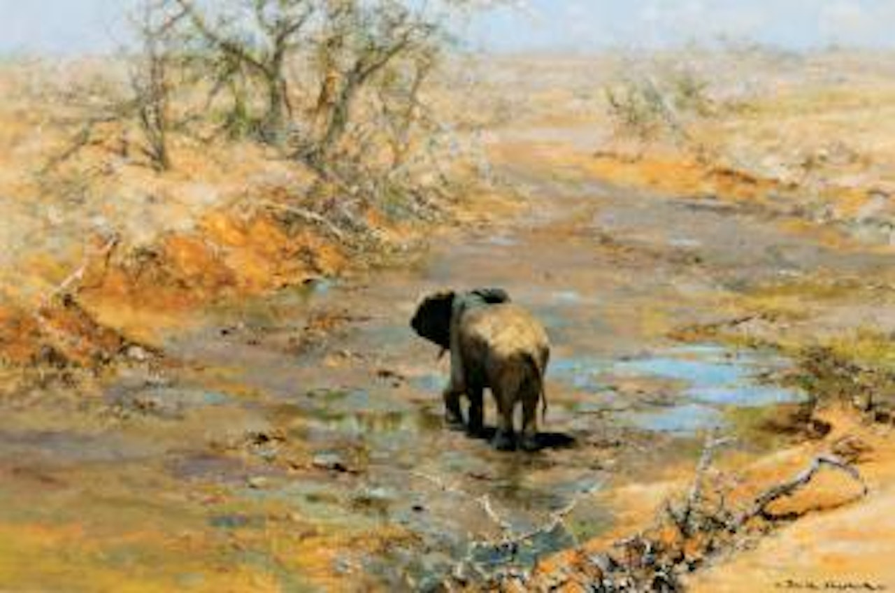 Elephant in River Bed by David Shepherd