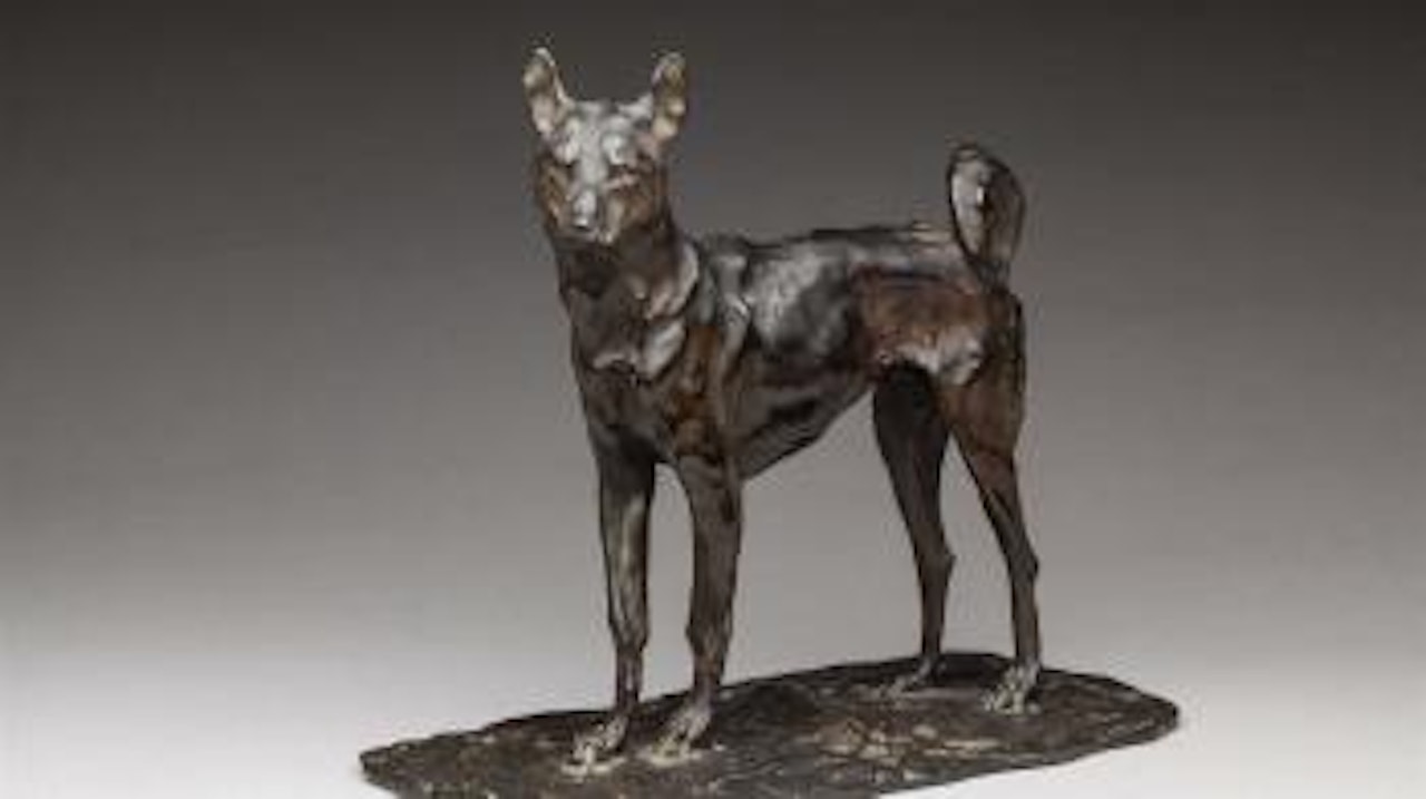 Chien annamite ou chien d'Annam by Rembrandt Bugatti
