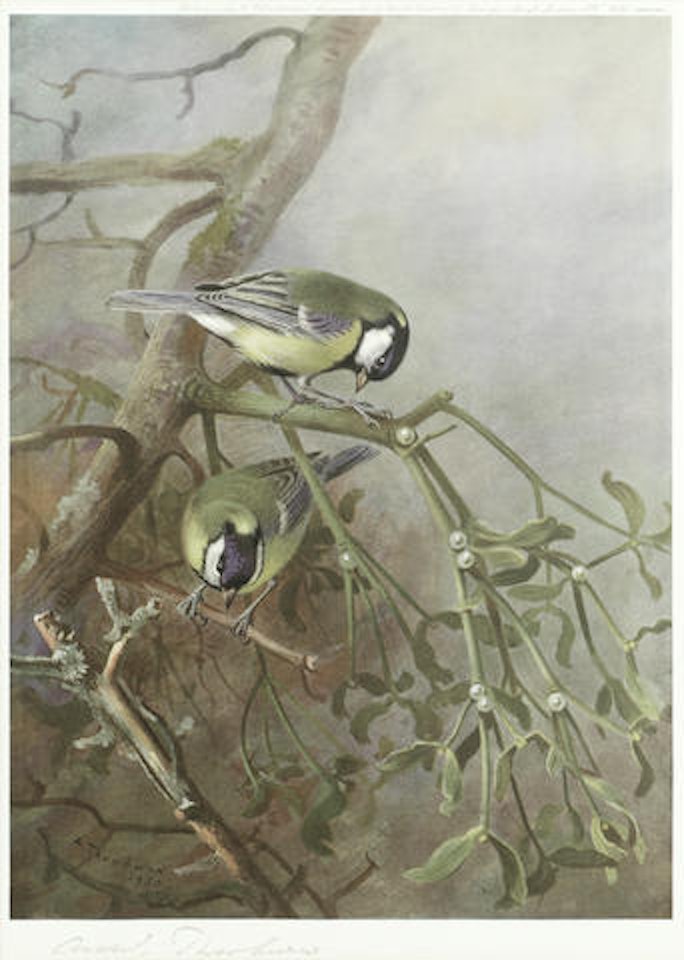 A Collection of bird prints by Archibald Thorburn