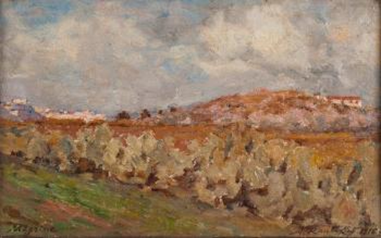 Vue de Mégrine, environs de Tunis by Alexandre Roubtzoff