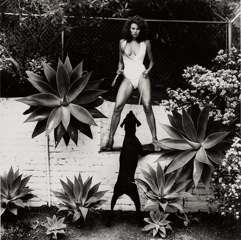 Raquel Welch in her backyard, Beverly Hills by Helmut Newton
