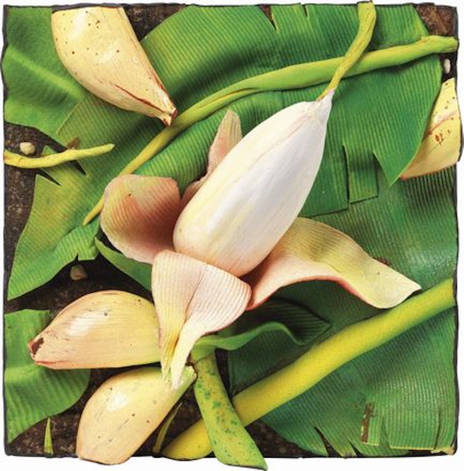 Fiore di banano by Piero Gilardi