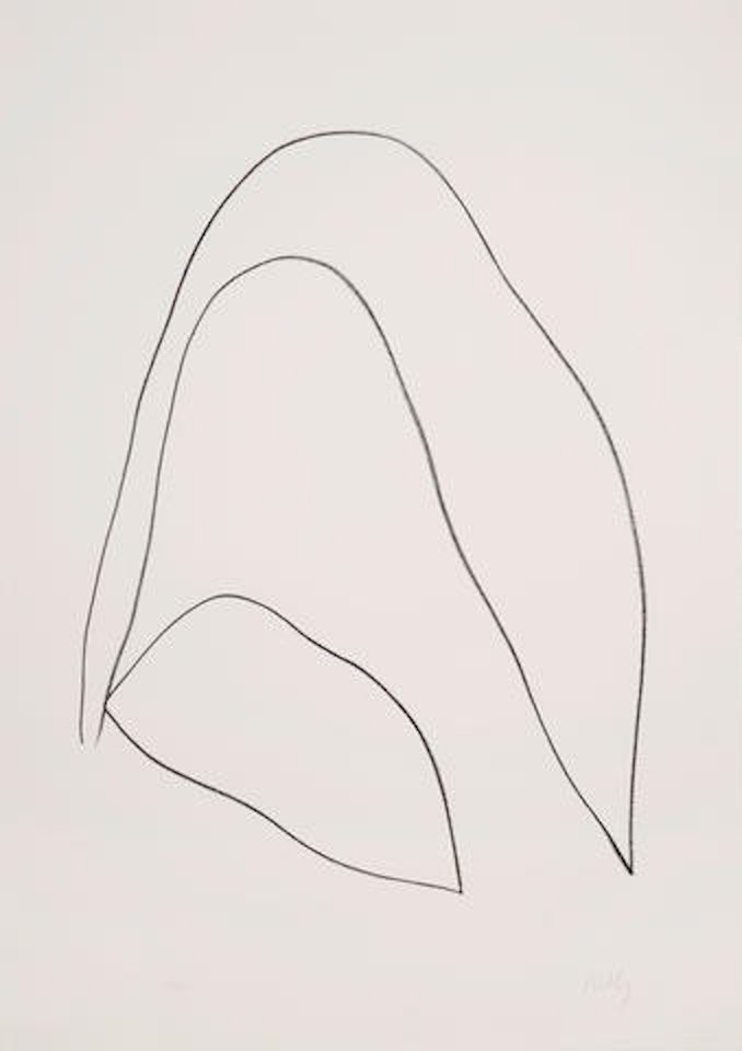 Leaves (Feuilles) by Ellsworth Kelly