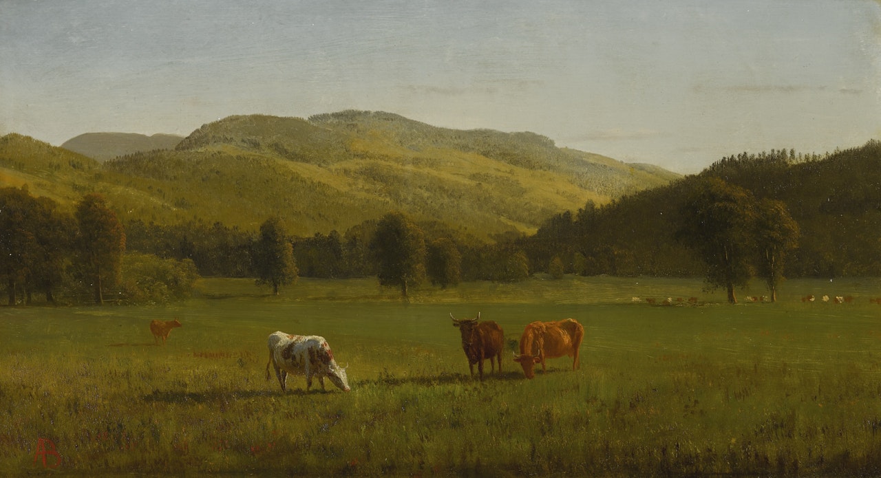 PEMIGEWASSET RIVER, N.H. by Albert Bierstadt