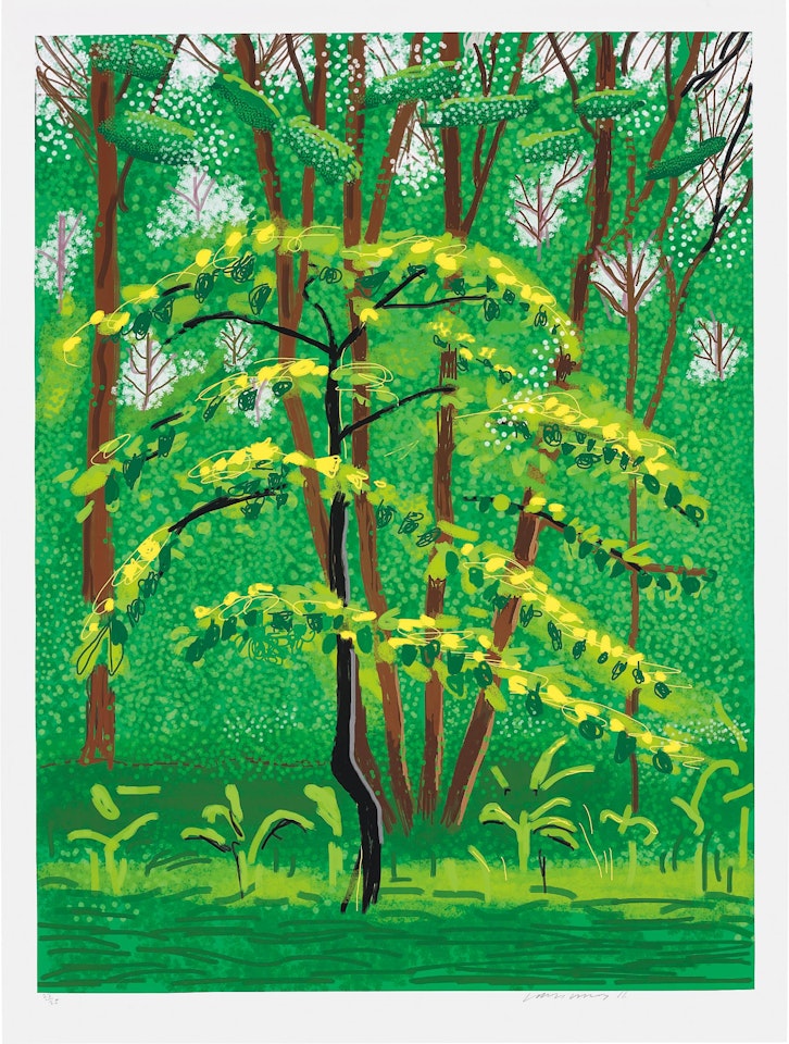 19 May, from The Arrival of Spring in Woldgate, East Yorkshire in 2011 (twenty eleven) by David Hockney