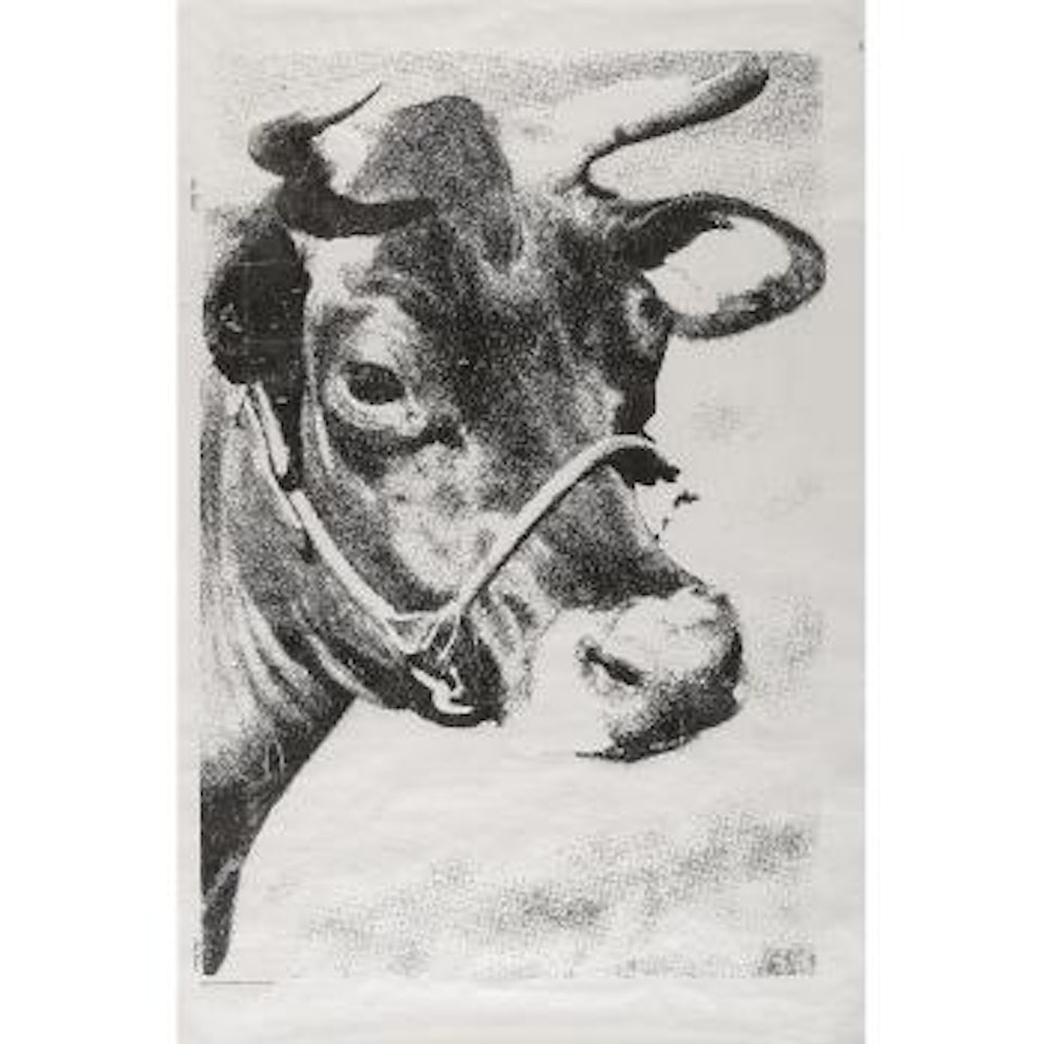 Cow by Andy Warhol