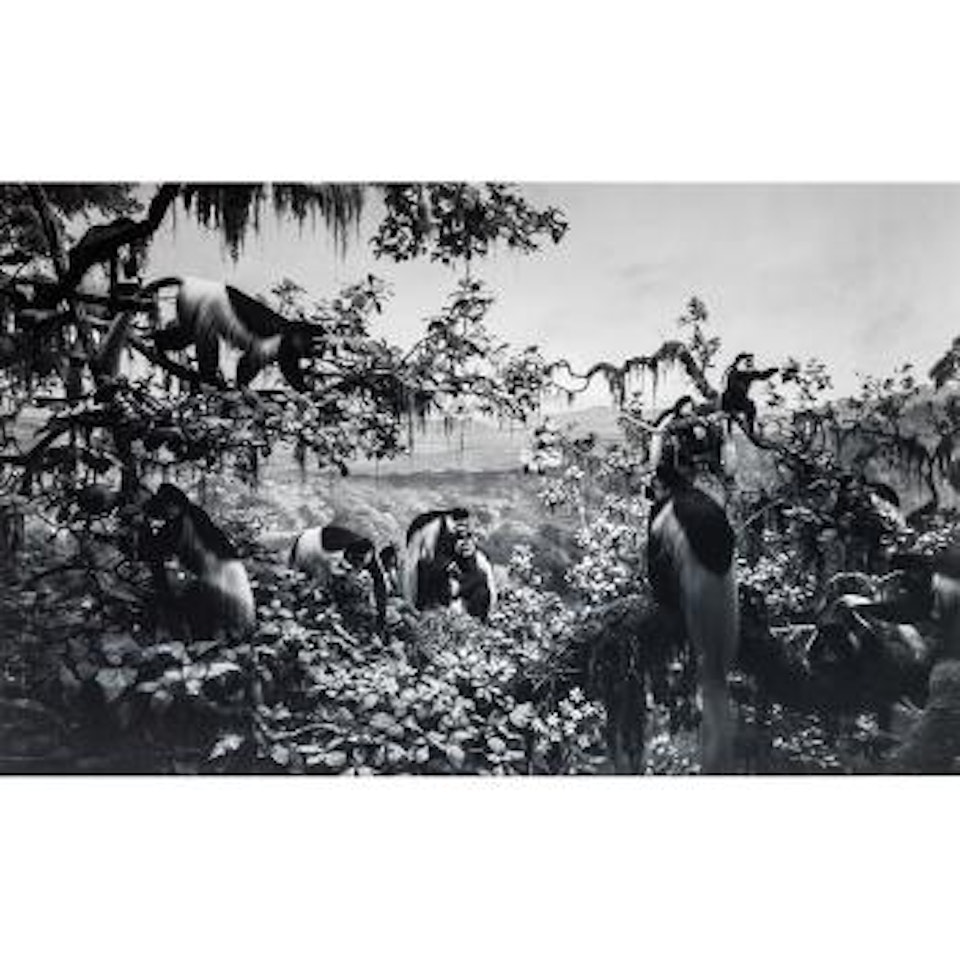 White Manteld Columbus ,
1977 by Hiroshi Sugimoto