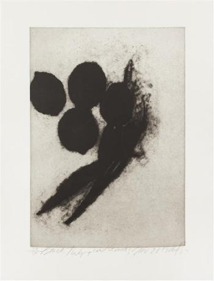 Black Tulips and Lemons by Donald Sultan