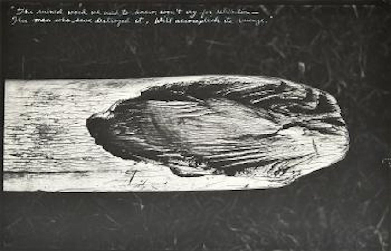 From the original end-game by Peter Beard