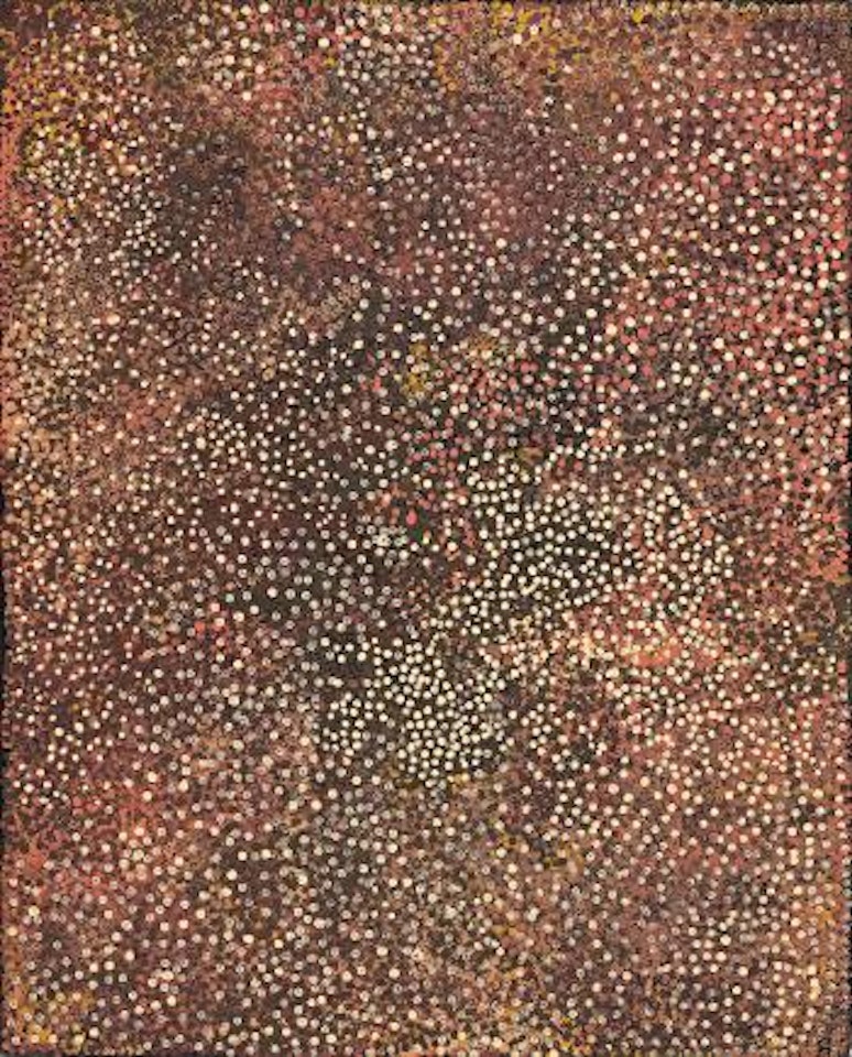 Untitled (Dried Flowers And Fruits) by Emily Kame Kngwarreye