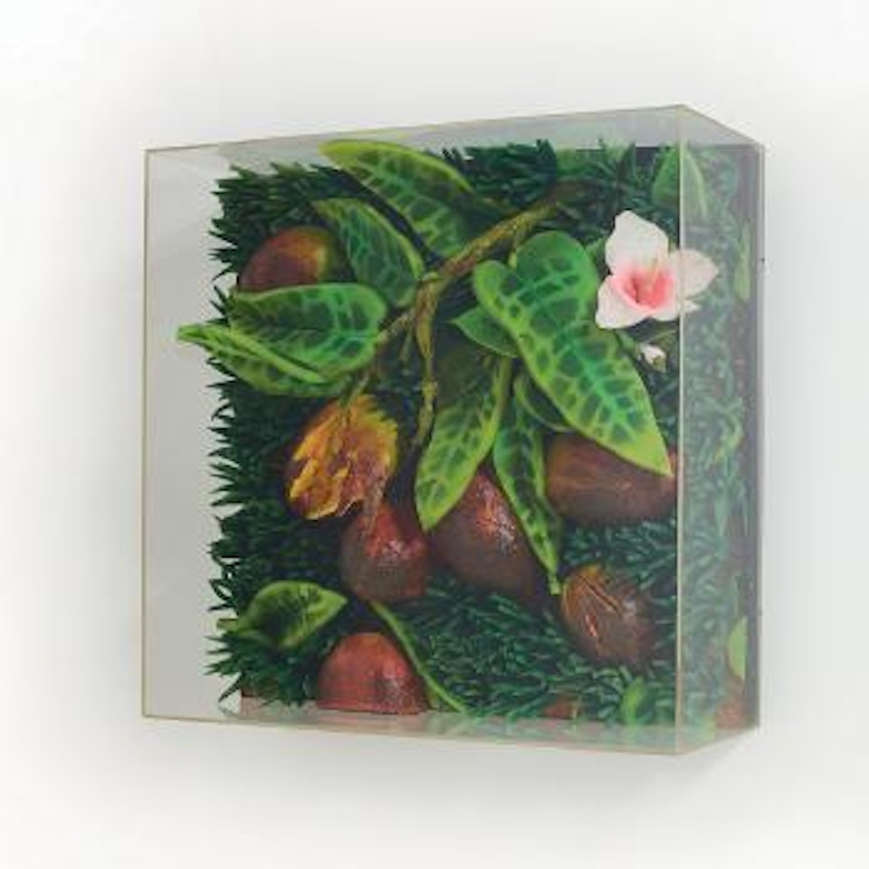 Terreno tropicale ,
Circa
1990 by Piero Gilardi