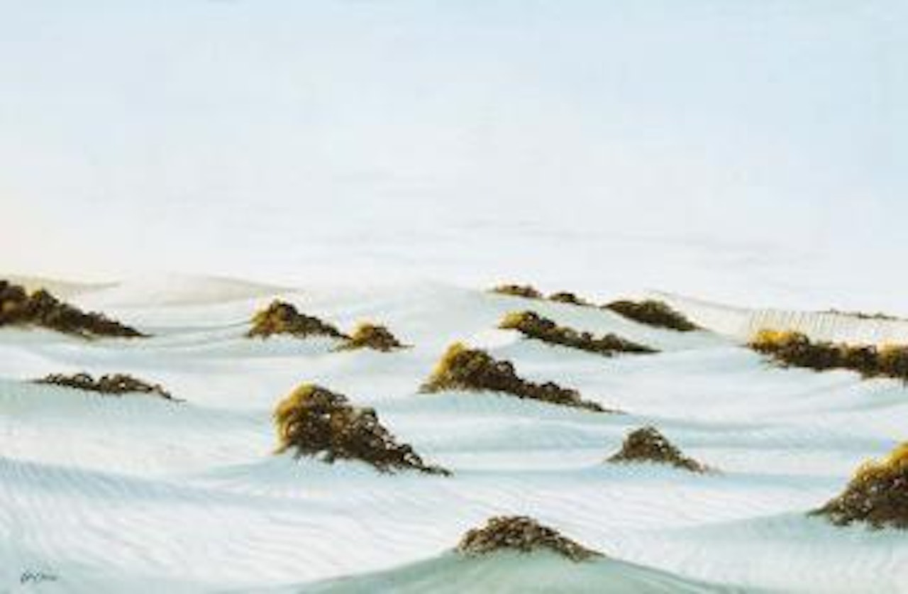 Untitled (Sand Dunes) , by Lin Onus