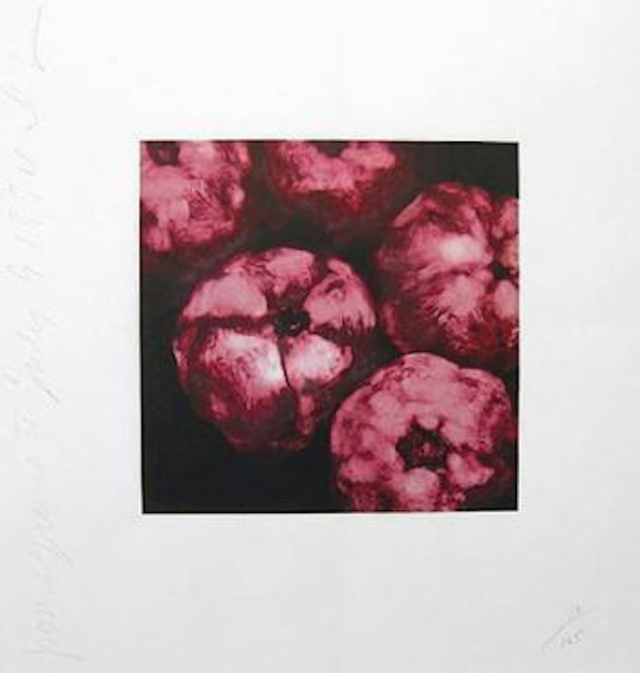Pomegranates by Donald Sultan