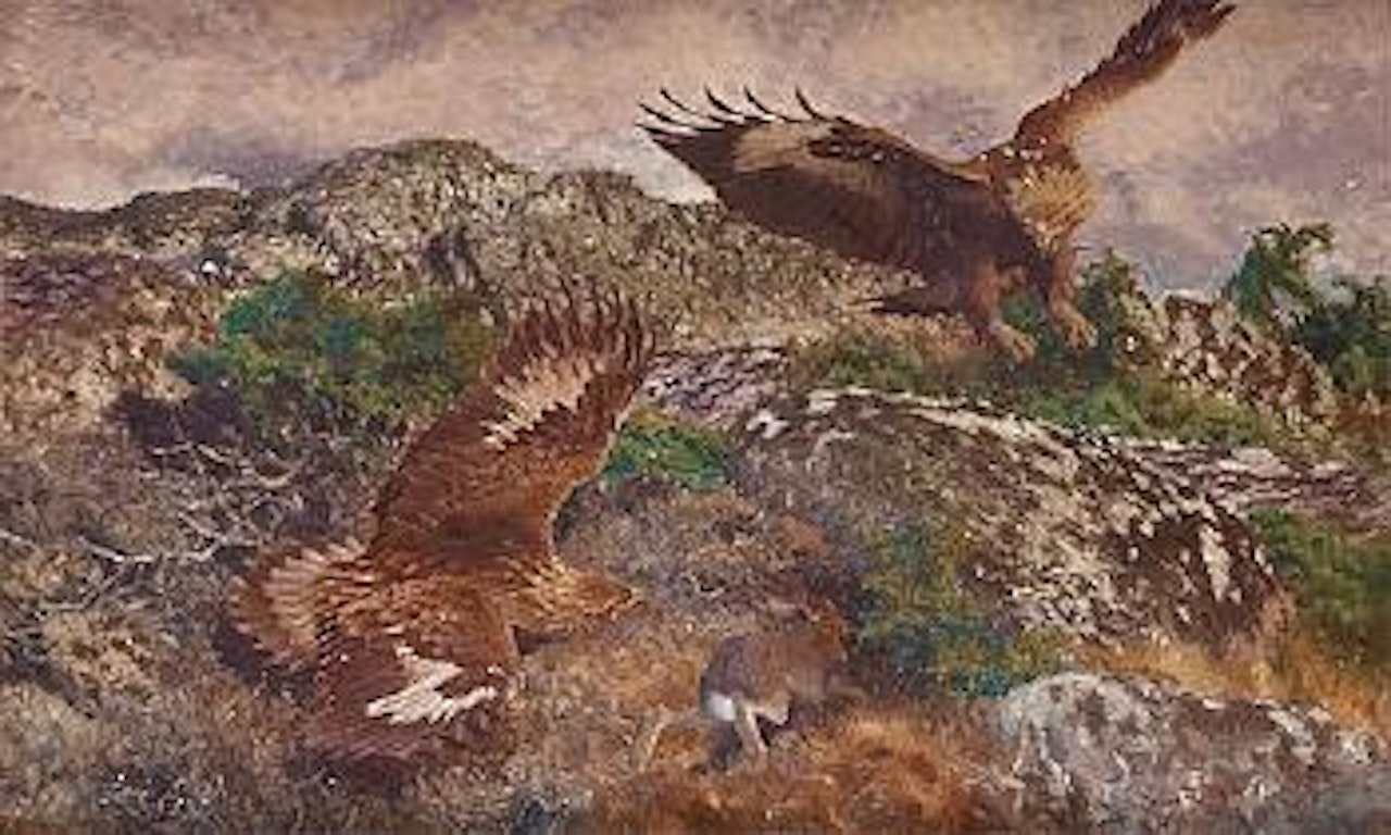 Eagles attacking Hare ,
1911 by Bruno Liljefors