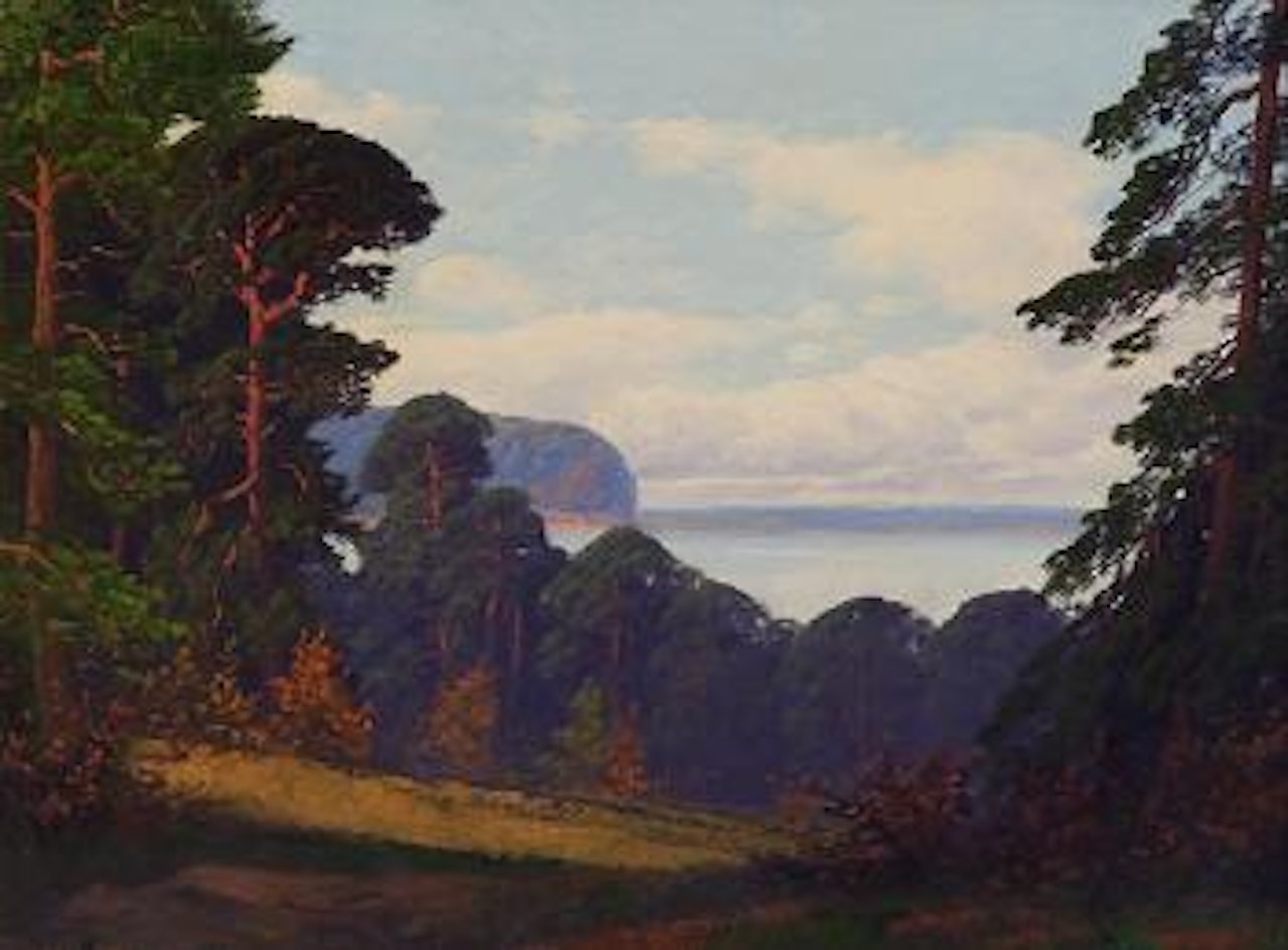 View of a lake by Ivan Fedorovich Choultse